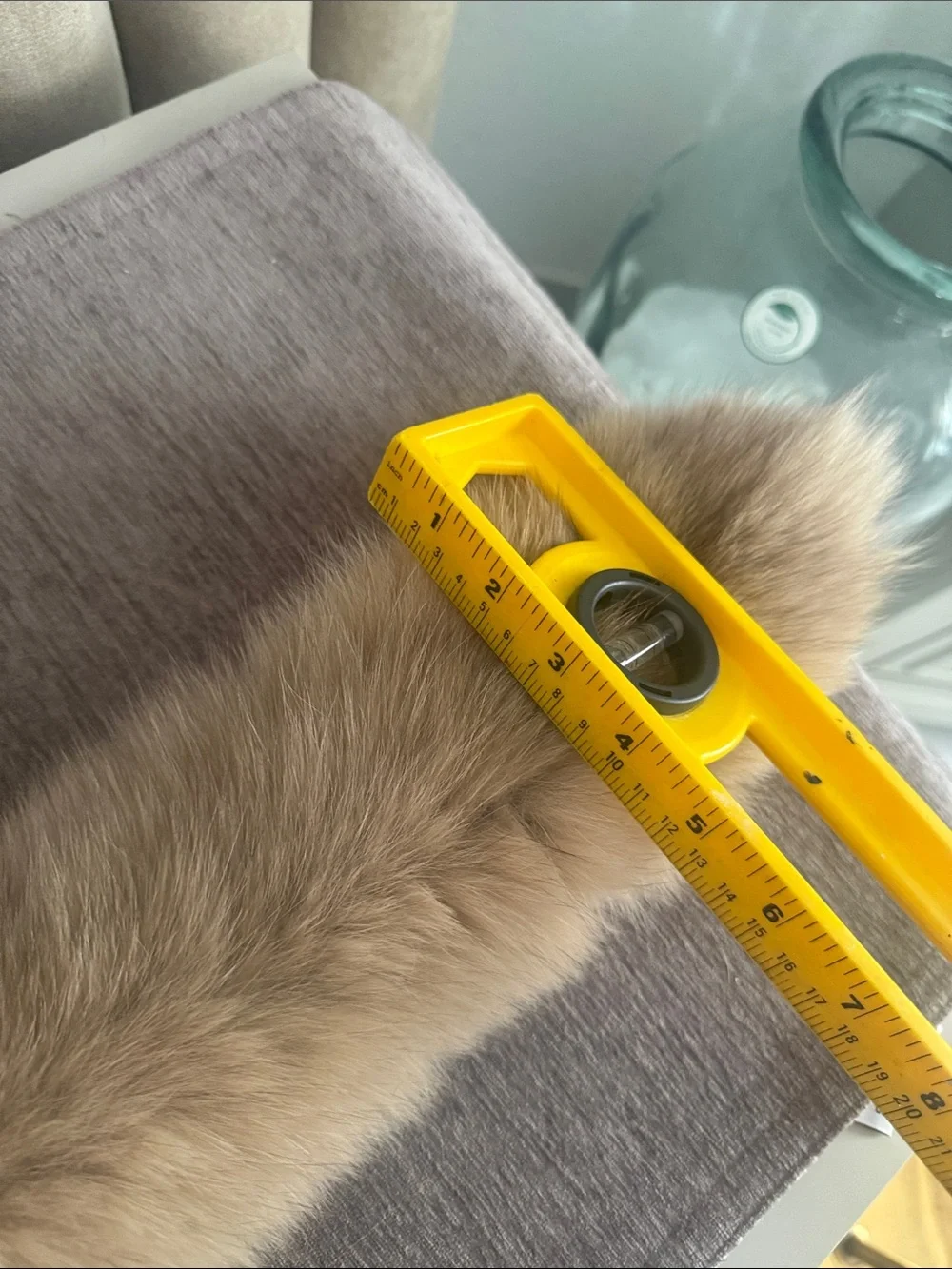 Genuine Fox fur clip on scarf